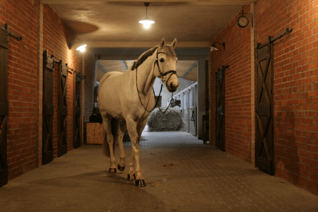 drzwi przesuwne w stylu barn door, drzwi przesuwne w stadninie, drzwi drewniane, drzwi z litego drewna, drzwi sosnowe, aranżacja wnętrza stadniny