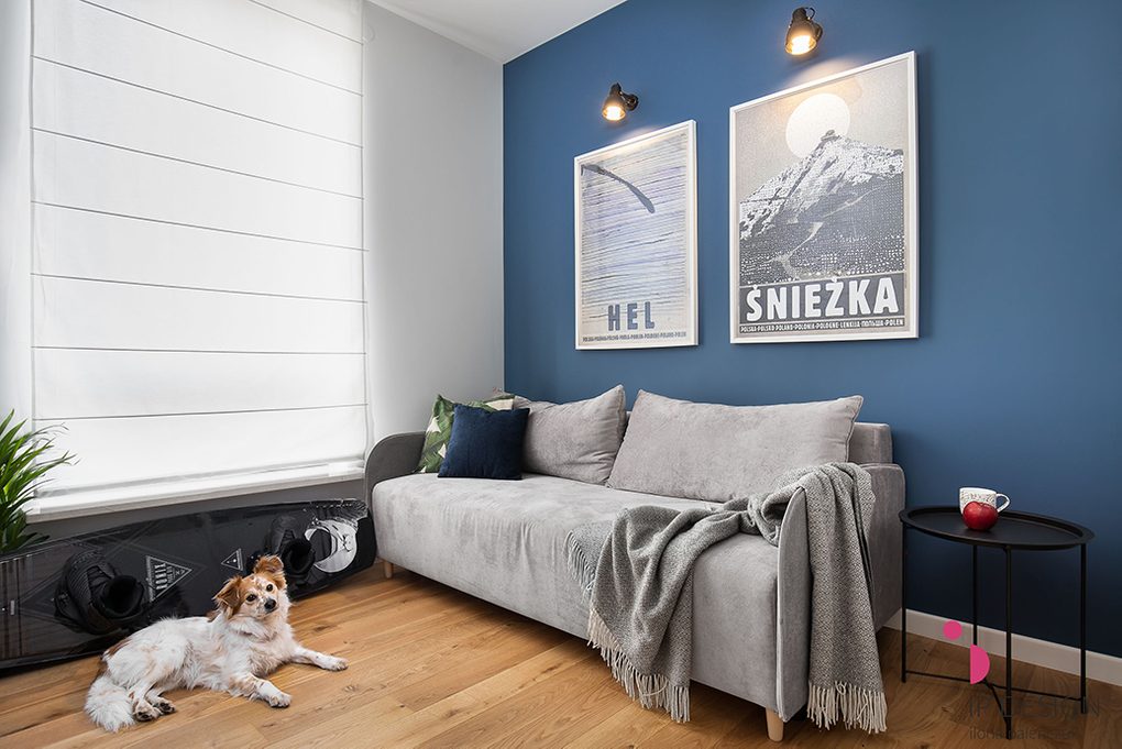 Jasna szara sofa w salonie z niebieską ścianą ozdobioną dużymi plakatami