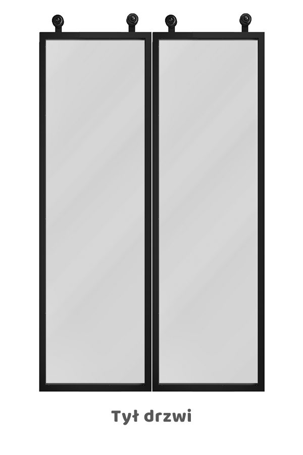 Drzwi dwuskrzydłowe szklane, w metalowej ramie, model GLASSO