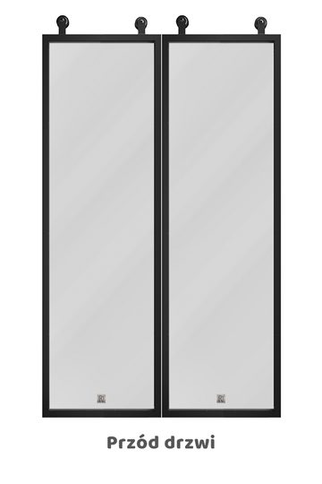 Drzwi dwuskrzydłowe szklane, w metalowej ramie, model GLASSO