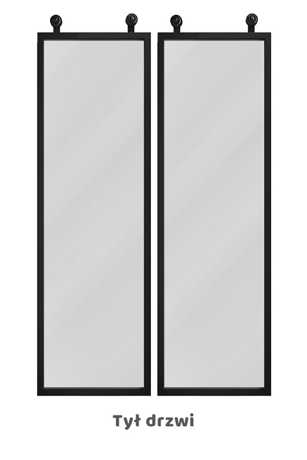 Drzwi dwuskrzydłowe szklane, w metalowej ramie, model GLASSO