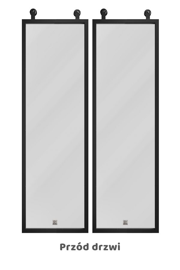 Drzwi dwuskrzydłowe szklane, w metalowej ramie, model GLASSO
