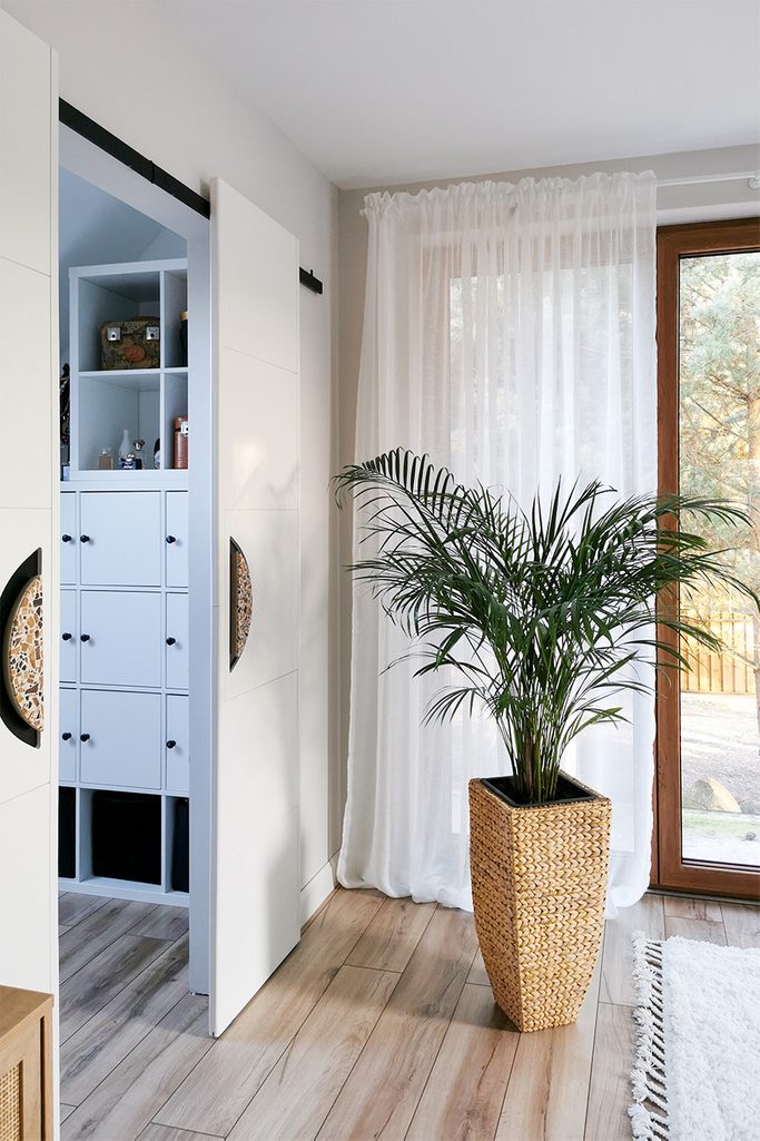duża roślina w plecionej donicy obok białych drzwi przesuwnych prowadzących do małej garderoby